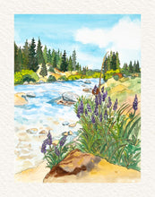 Load image into Gallery viewer, Lupines on the Truckee River – Giclée Print
