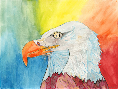 The American Eagle Greeting Card