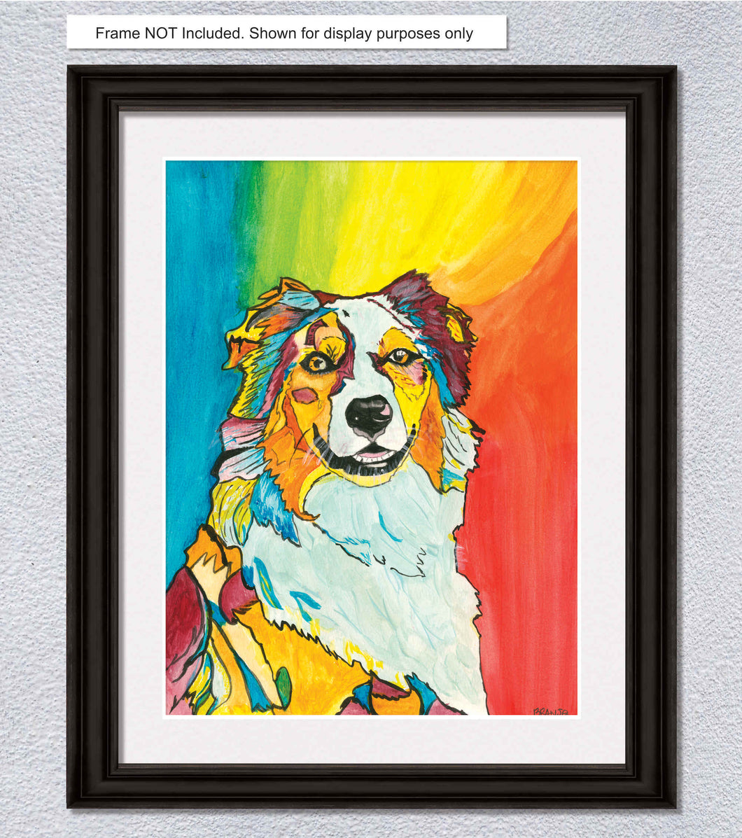 Leo The Australian Shepherd