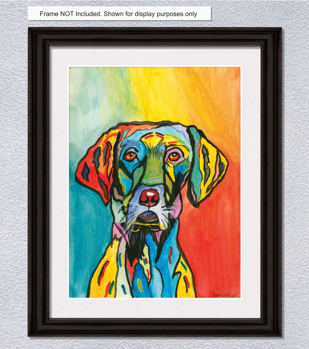Labrador Retriever
